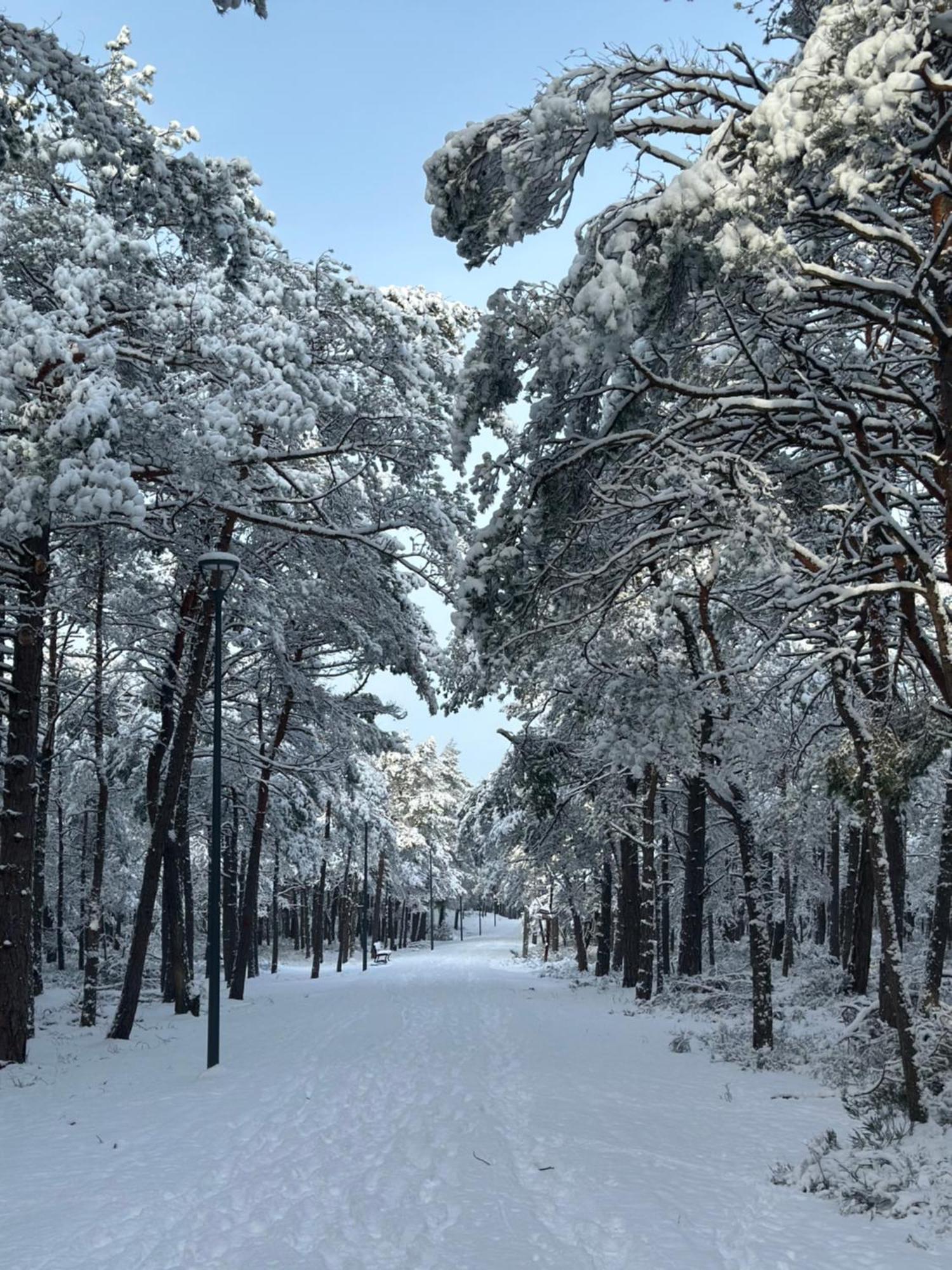 Chata Lawendowa Sasino Exteriör bild